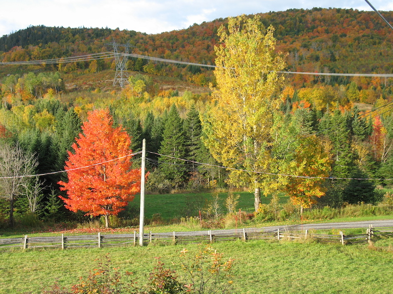 Un beau paysage d'automne