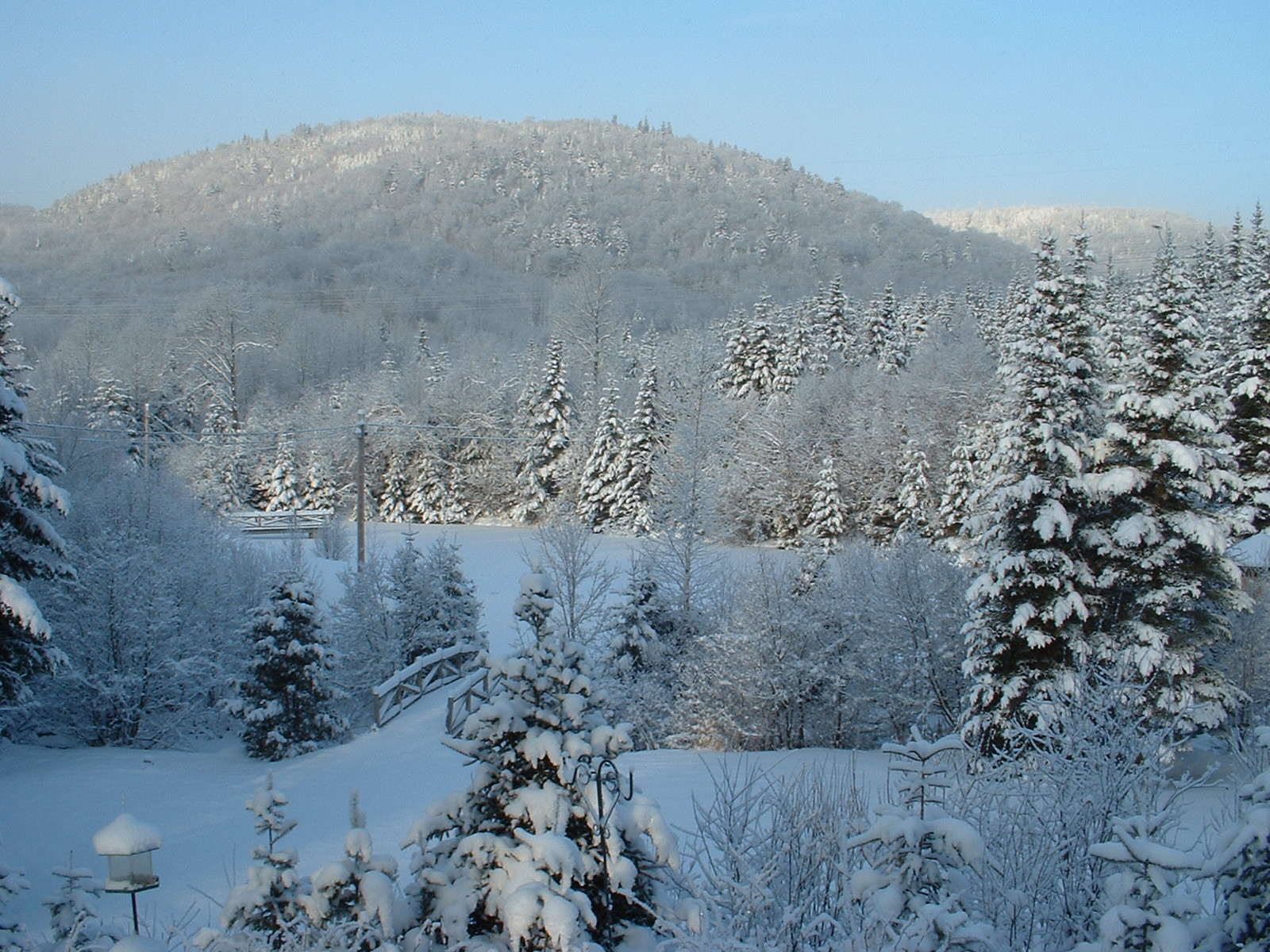Une vue sur les montagnes l'hiver