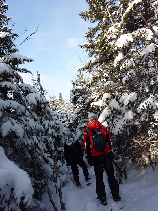 The trails during winter